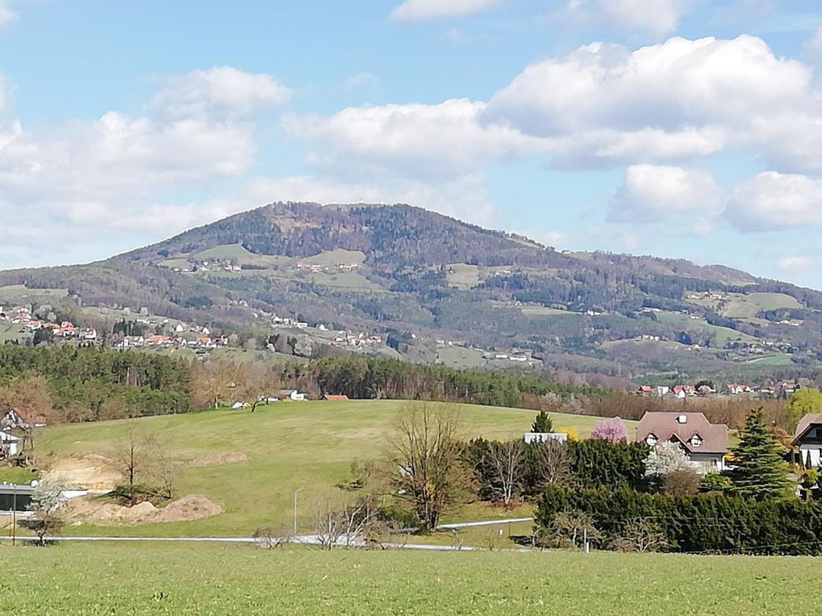 Ferienwohnung Wachmann Rohrbach am Kulm Camera foto