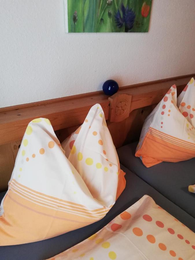 Ferienwohnung Wachmann Rohrbach am Kulm Esterno foto
